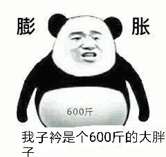 胀600斤我子衿是个600斤的大胖