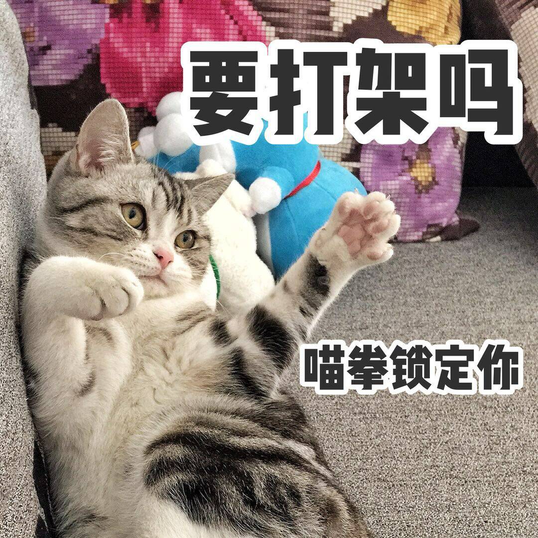 要打架吗