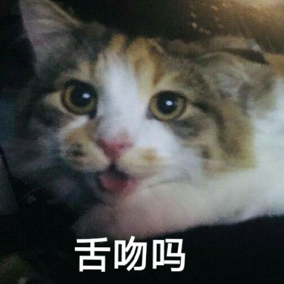 舌吻吗