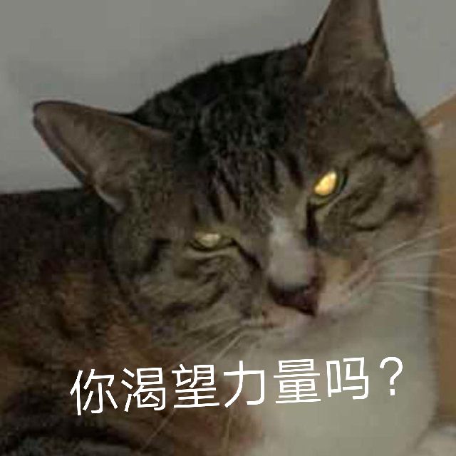 你渴望力量吗？