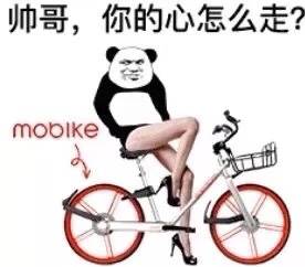 帅哥，你的心怎么走？moble