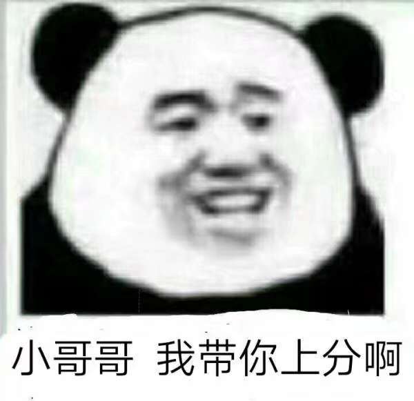 小哥哥我带你上分啊