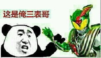 这是俺三表哥