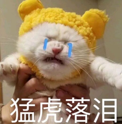 猛虎落泪