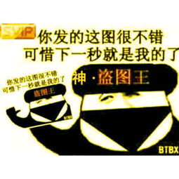 你发的这图很不错可惜下一秒就是我的了神·盗图王可惜下BTB