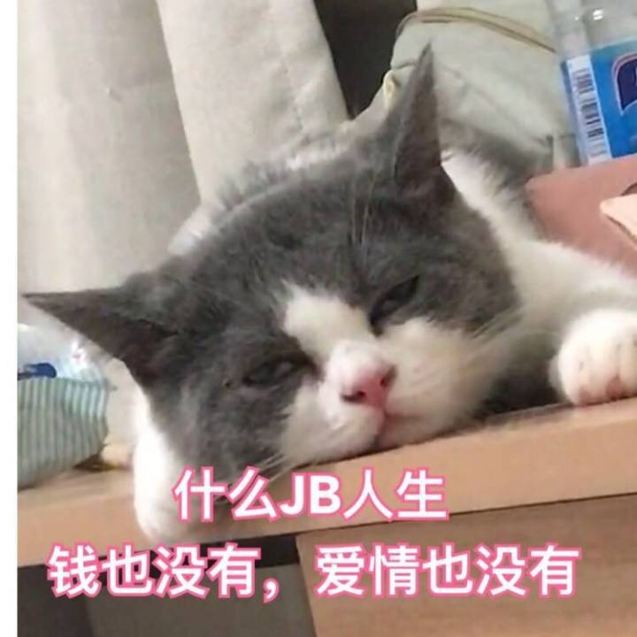 什么JB人生钱也没有，爱情也没有