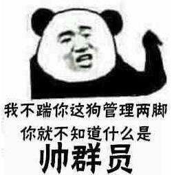 我不踹你这狗管理两脚你就不知道什么是帅群员