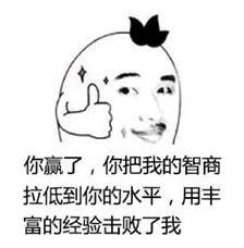 你嬴了，你把我的智商拉低到你的水平，用丰富的经验击败了我