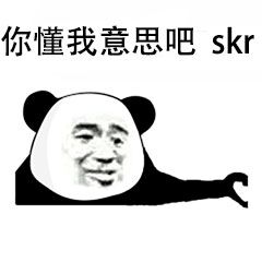 你懂我意思吧skr