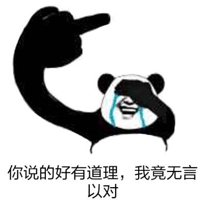 你说的好有道理，我竟无言以对