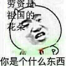 劳资是你是个什么东西