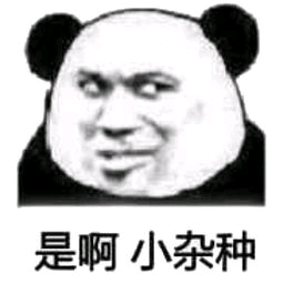 是啊小杂种