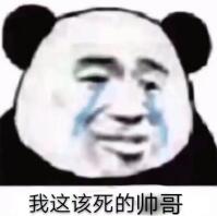 我这该死的帅哥