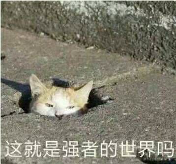 这就是强者的世界吗