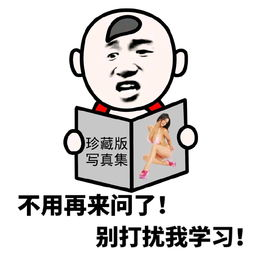 不要再问了别打扰我学习