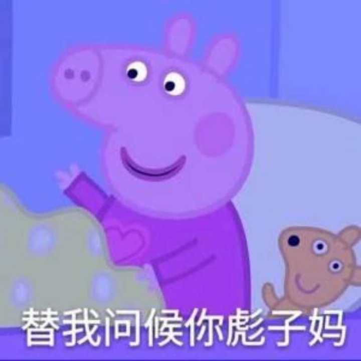 替我问候你彪子吗