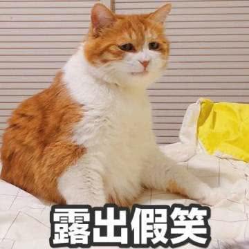 露出假笑