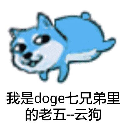 我是doge七兄弟里的老五-云狗