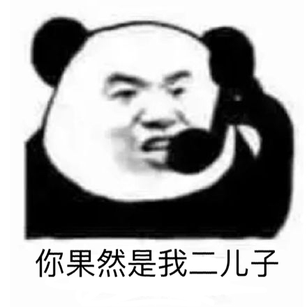 你果然是我儿子