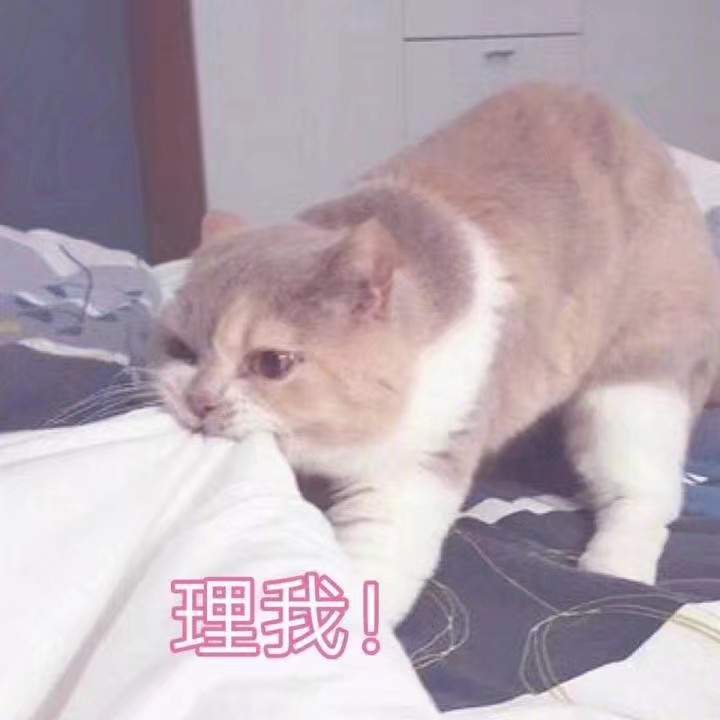 理我