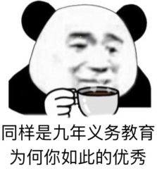 同样是九年义务教育为何你如此的优秀