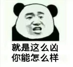 就是这么凶你能怎么样