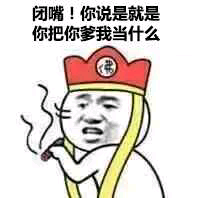 闭嘴！你说是就是你把你爹我当什么