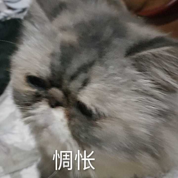 惆怅