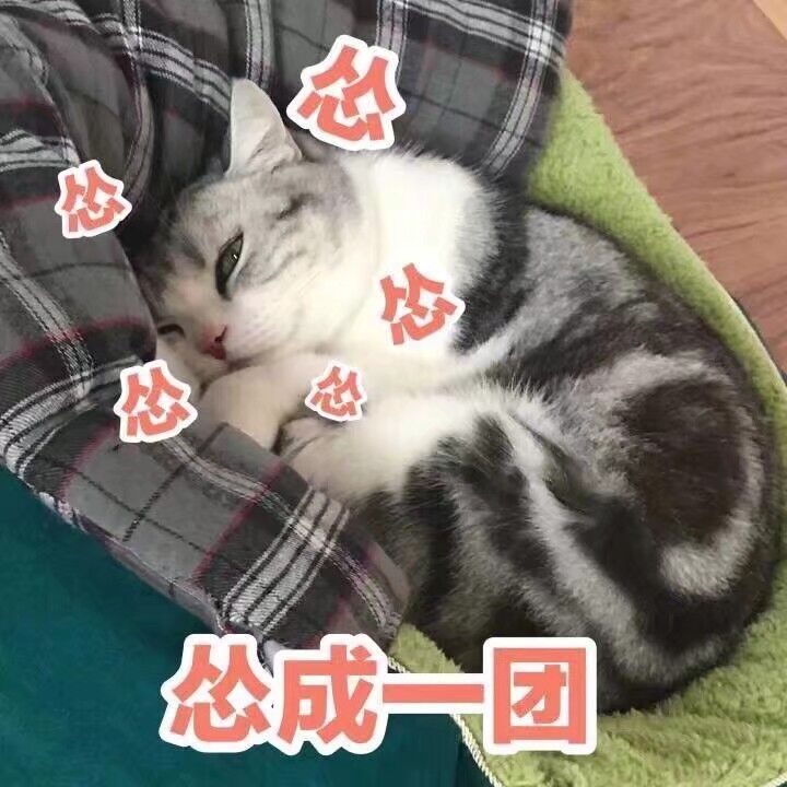 怂成一团