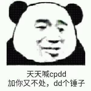 天天喊cpdd加你又不处，dd个锤子