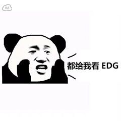 都给我看EDG