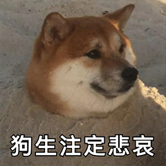 狗生注定悲哀