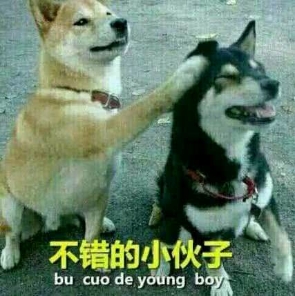 不错的小伙子bu cuo de young boy