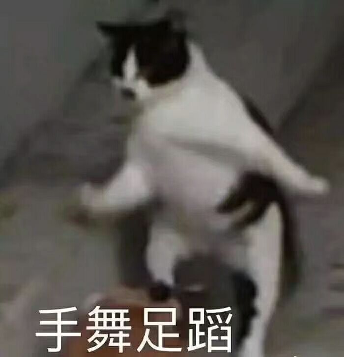 手舞足蹈