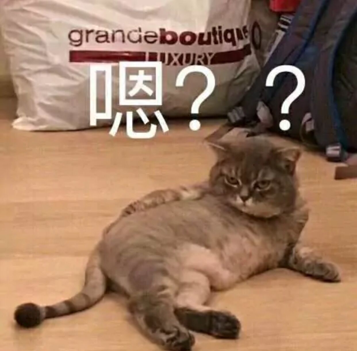 嗯？？