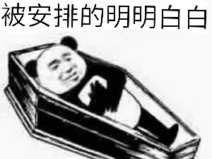 被安排的明明白白