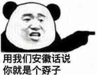 用我们安徽话说你就是一个孬子