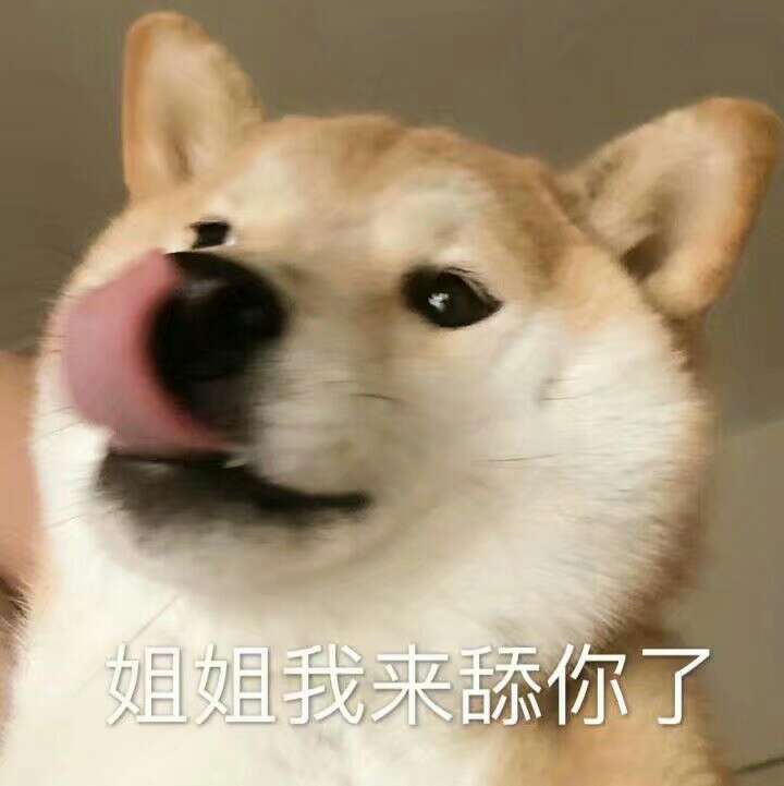 姐姐我来舔你了