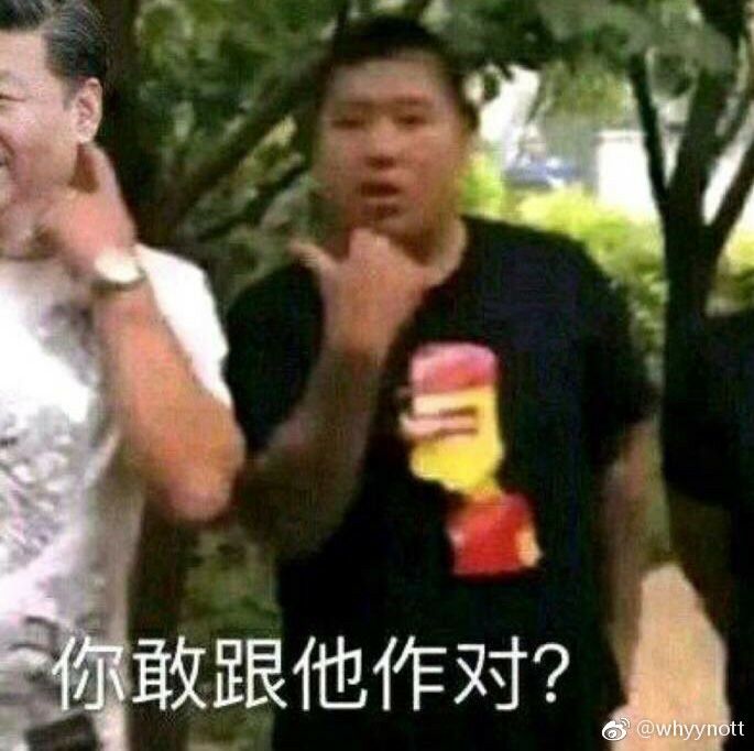 你敢跟他作对？o owhyynott