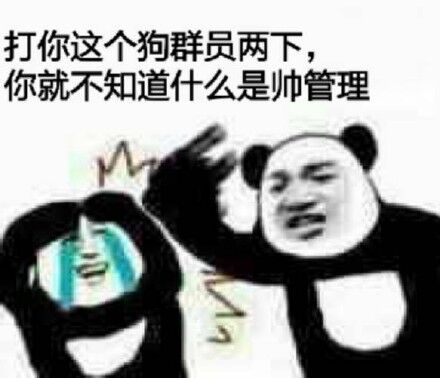 打你这个狗群员两下，你就不知道什么是帅管理