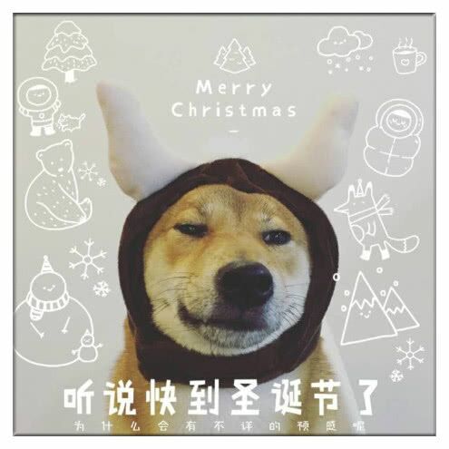 MerryChristmas听说快到圣诞节了内计4合有不评的