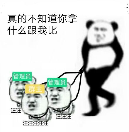 真的不知道你拿什么跟我比