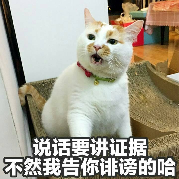 说话要讲证据