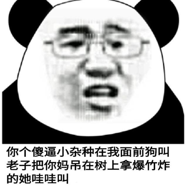 你这个小杂种