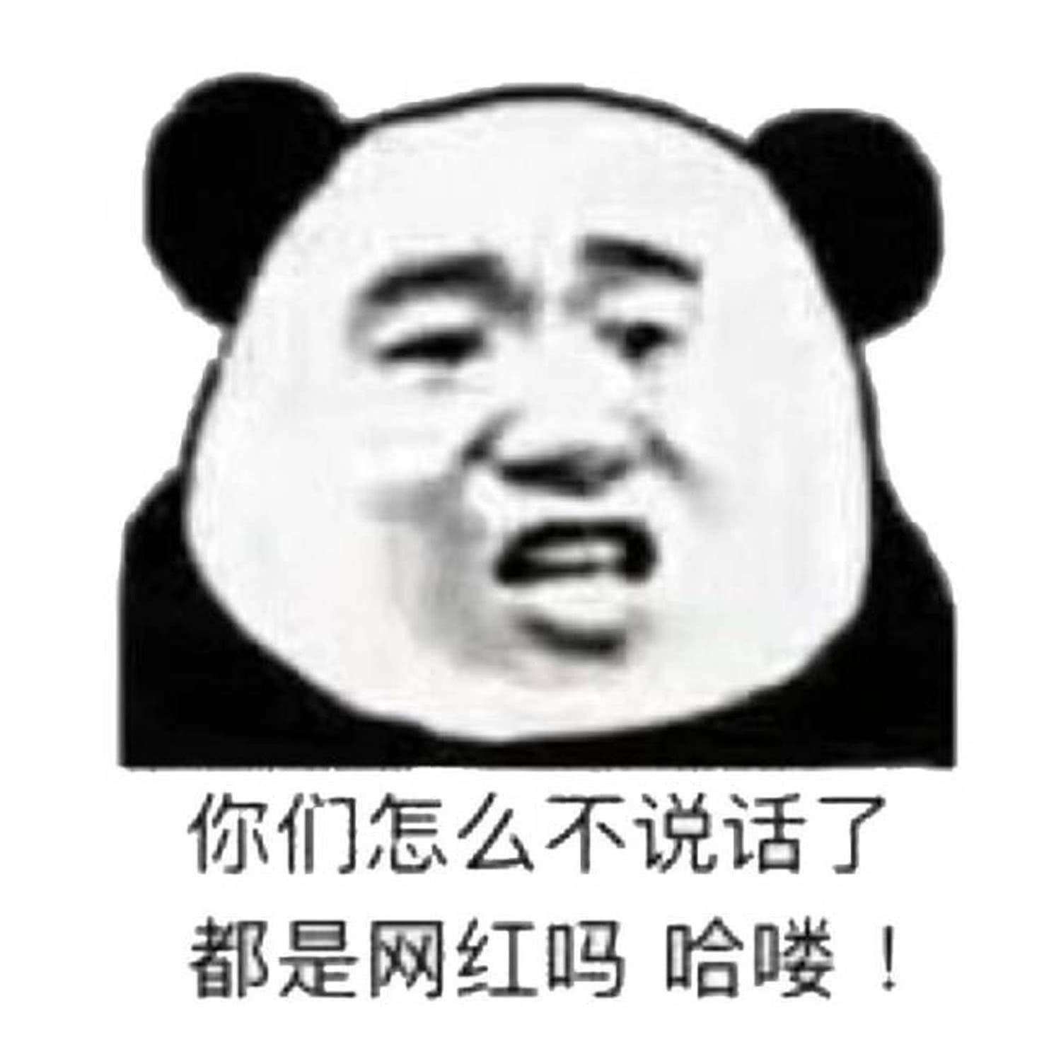 你们怎么不说话了都是网红吗哈喽！