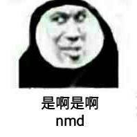 是啊是啊nmd