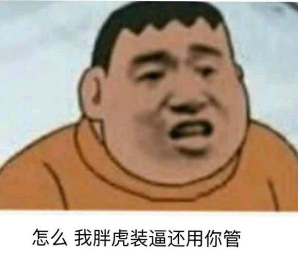 怎么，我胖虎装逼还用你管