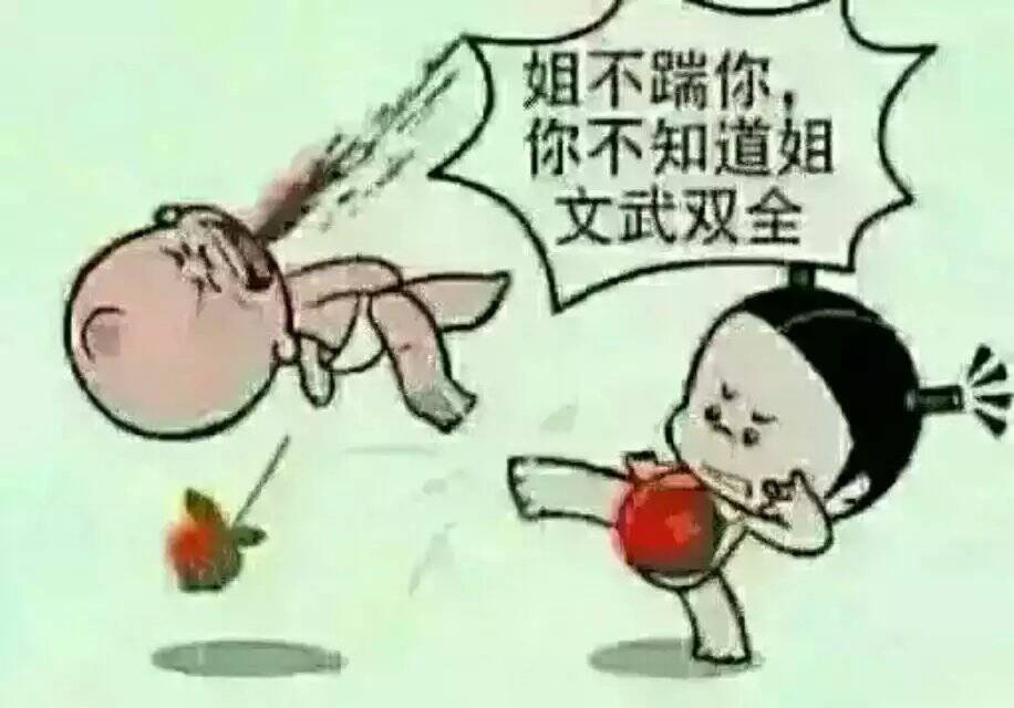 姐不踹你，你不知道姐文武双全