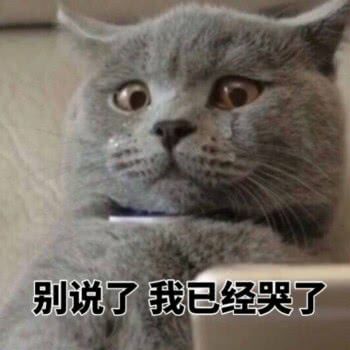 别说了，我已经哭了