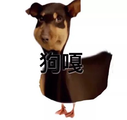 狗嘎